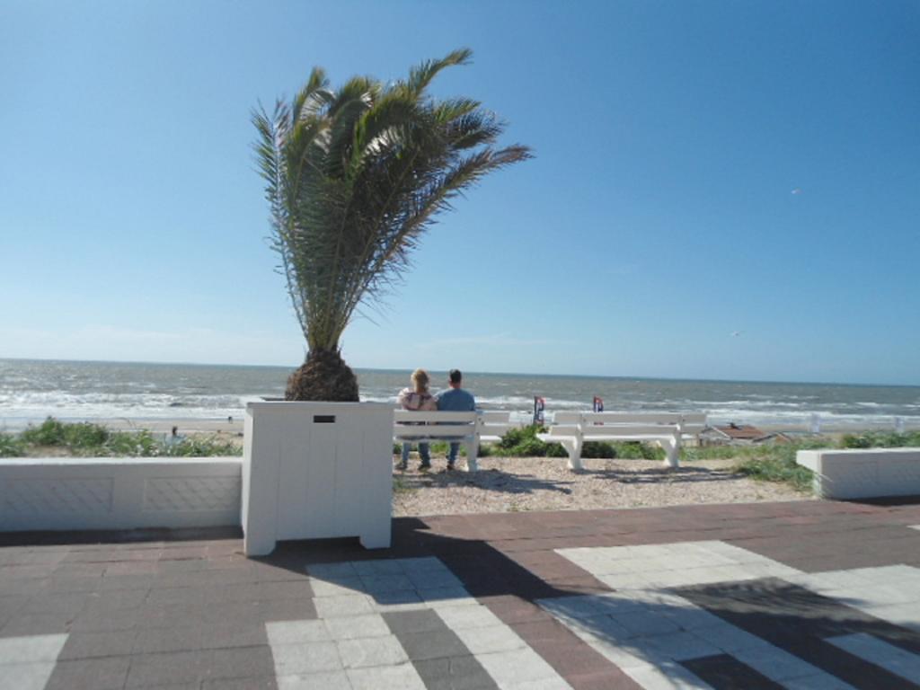 Halte71 Daire Zandvoort Dış mekan fotoğraf